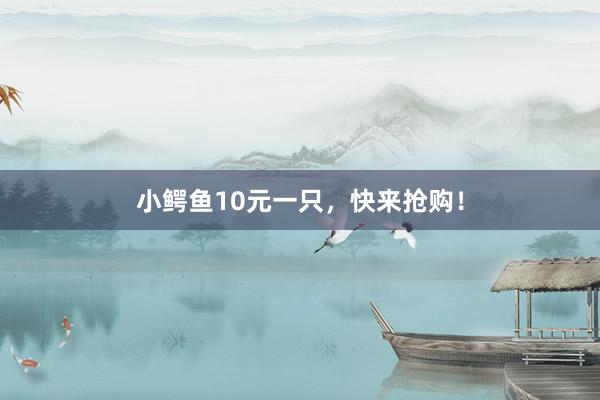 小鳄鱼10元一只，快来抢购！