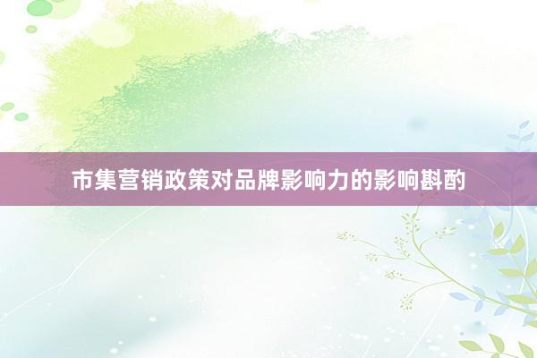 市集营销政策对品牌影响力的影响斟酌